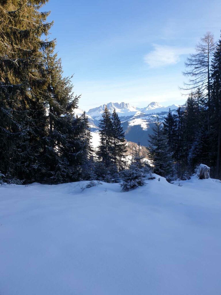 Aussicht aus der Waldlichtung Richtung Nordosten